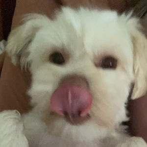 Meet your Posher, Macy